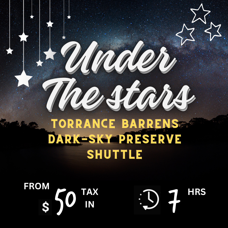 Under the Stars - Torrance Barrens