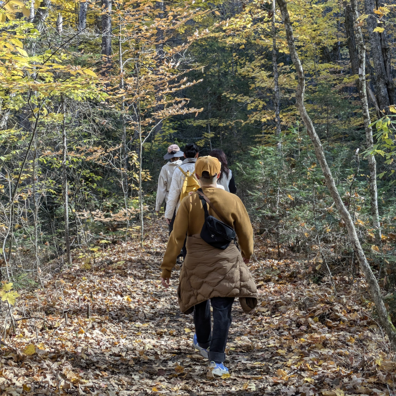 Algonquin Park - Hike only