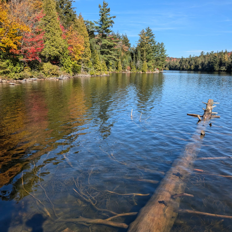 Algonquin Park - Hike only