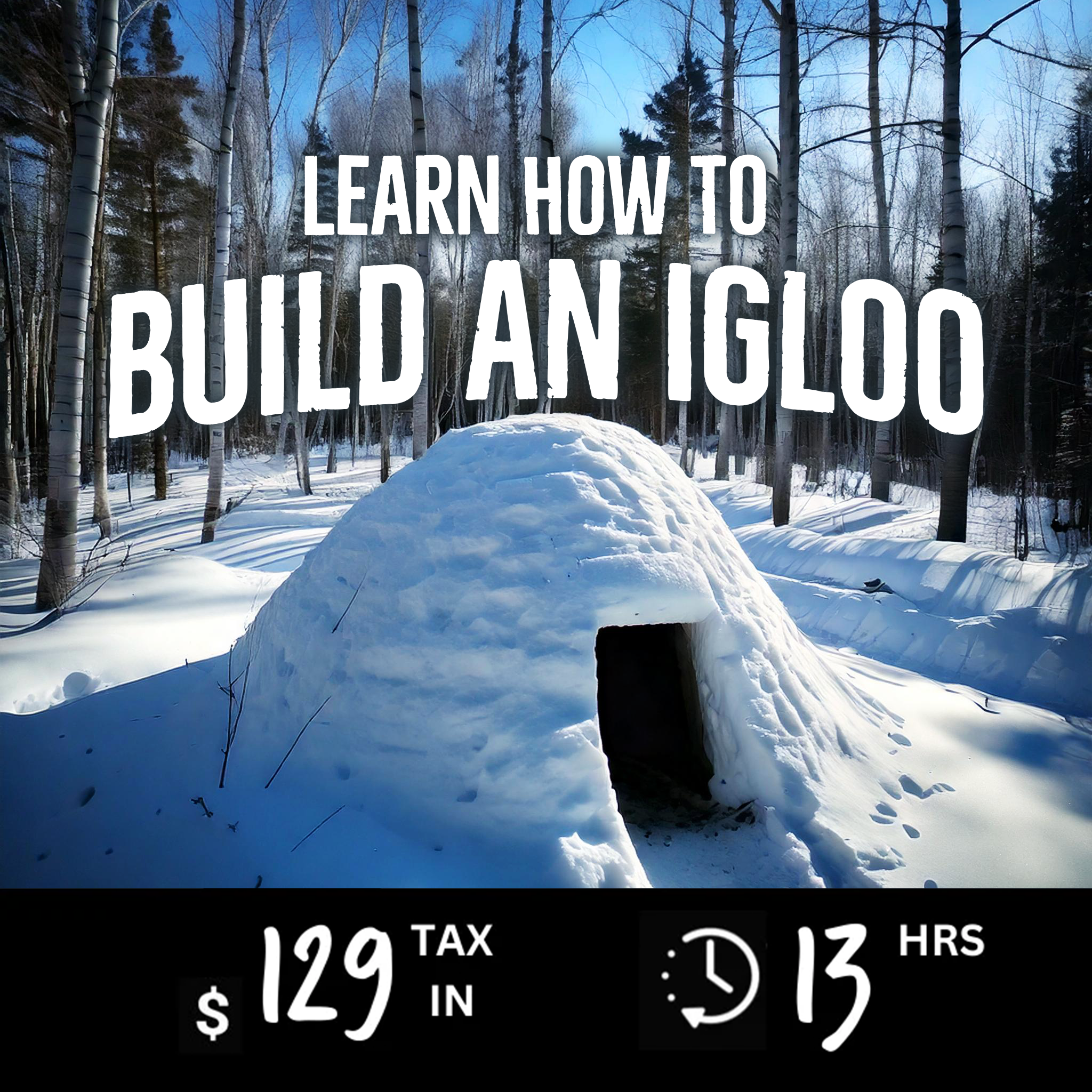 Learn how to build an Igloo