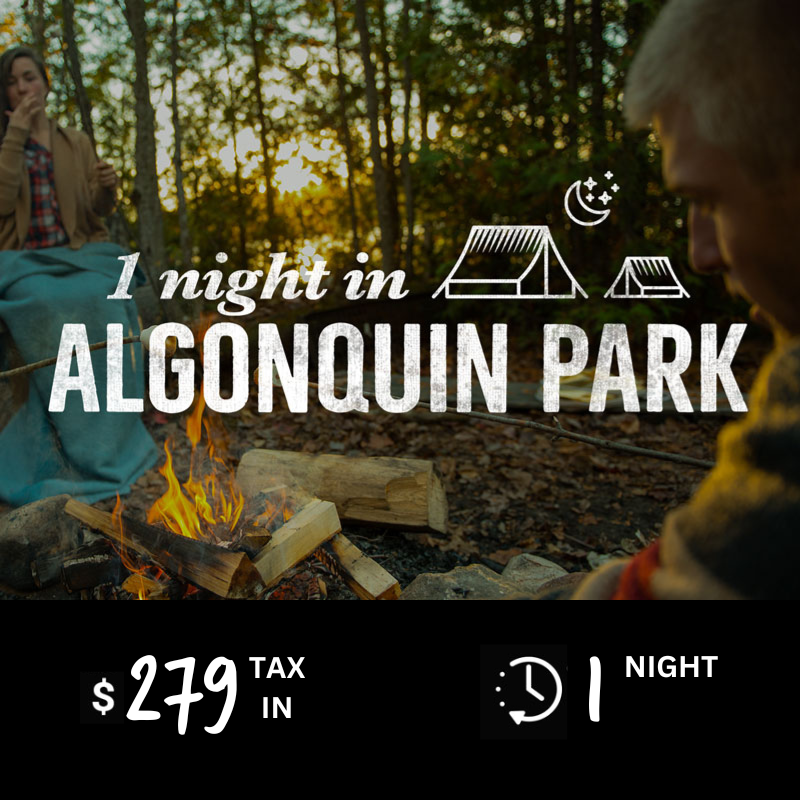 Camping in Algonquin park