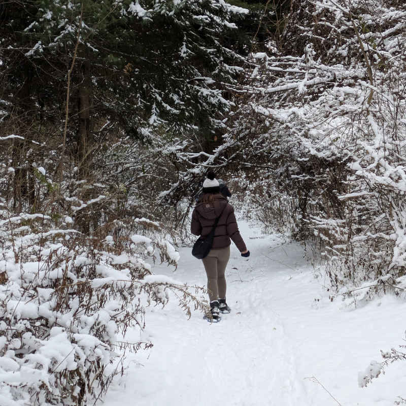 Igloo-Quinzee Winter Camping